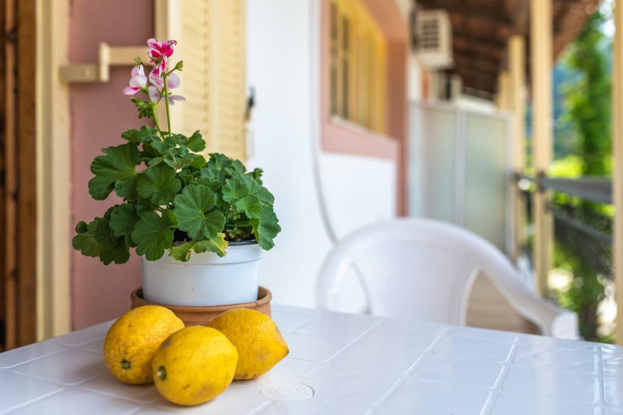 Anthi Studios & Apartments Alykes (Zakynthos) Exterior foto